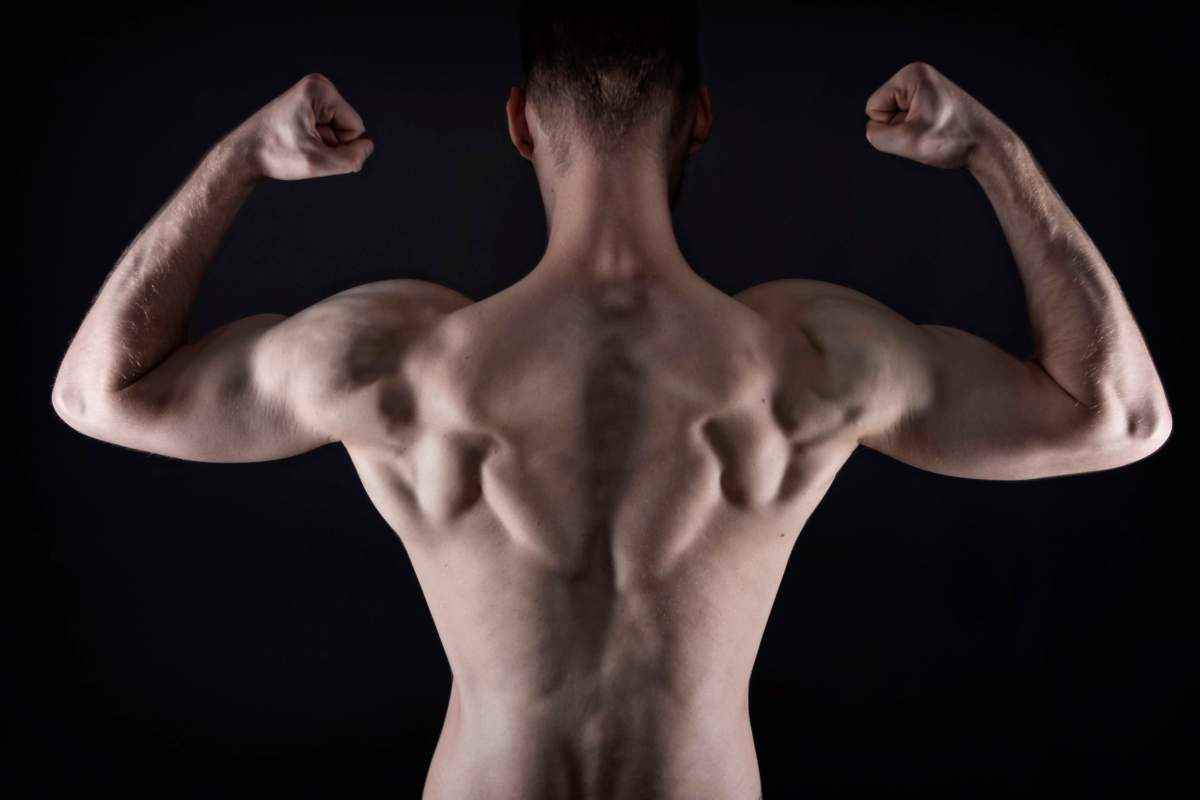 How To Quickstart Your Muscle Gain&nbsp;Journey