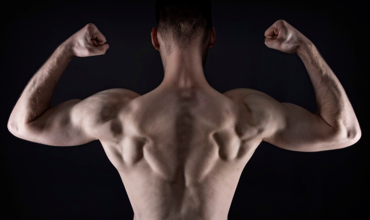 The Mainstream Fitness Media&nbsp;Catastrophe